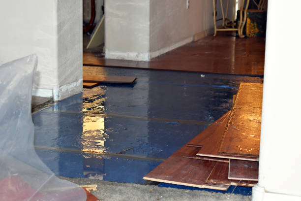 Professional Water Damage technician working in Millington, IL